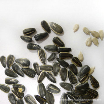Специализируется на производстве масличных семян подсолнечника на продажу.